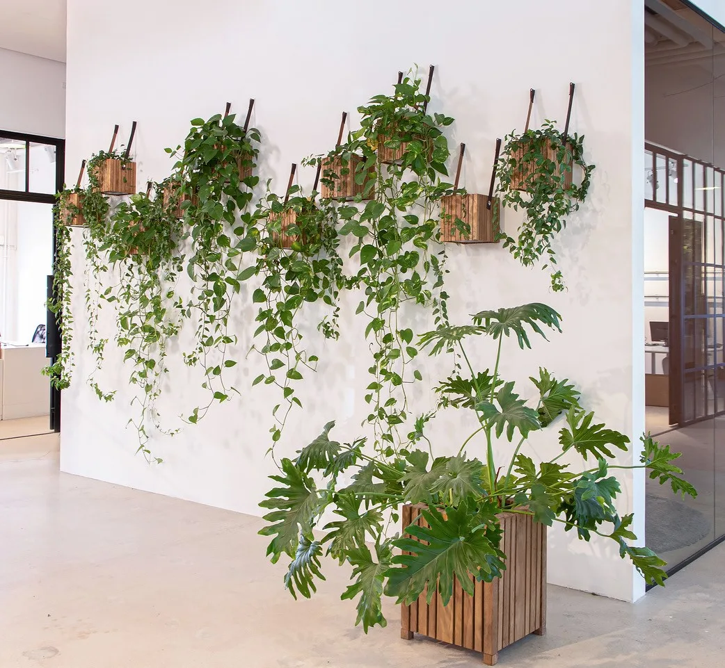 Squarely Copenhagen plantekasser - Billede 2