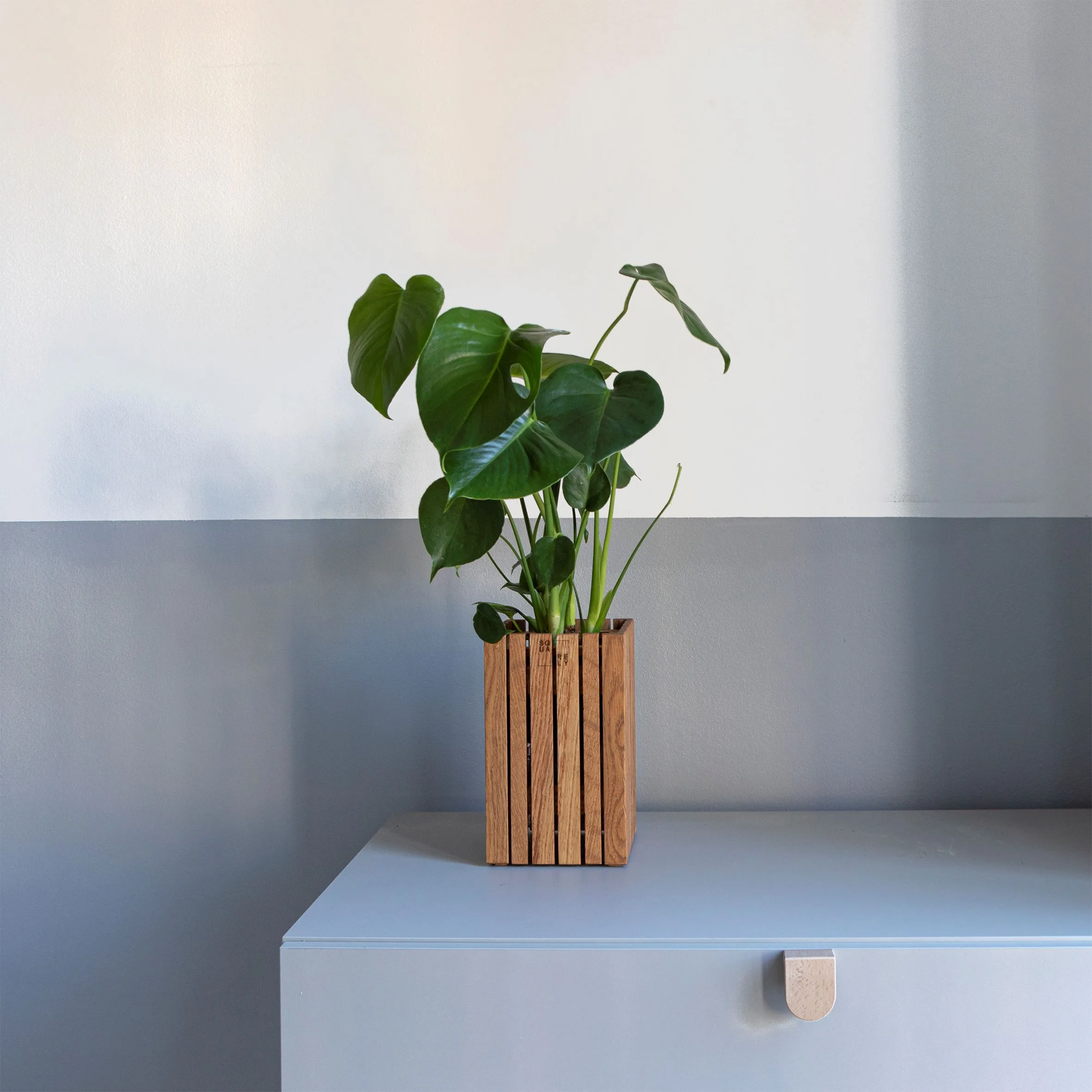 Squarely Copenhagen plantekasser - Billede 10